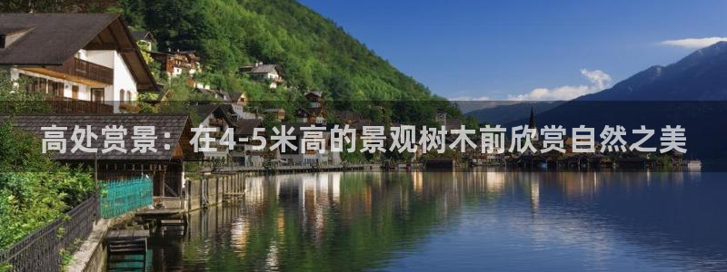 摩根娱乐老lb板50820