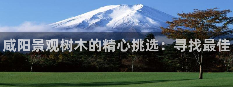 泉州摩根会娱乐邮箱