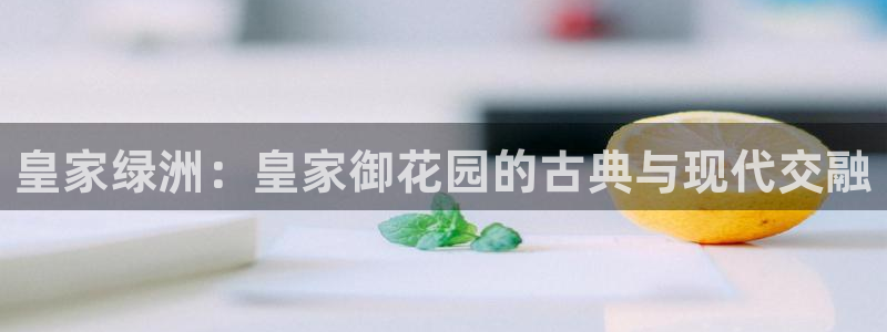 摩根娱乐宝下载