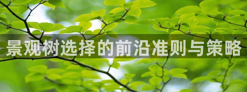 泉州摩根会娱乐保安招聘