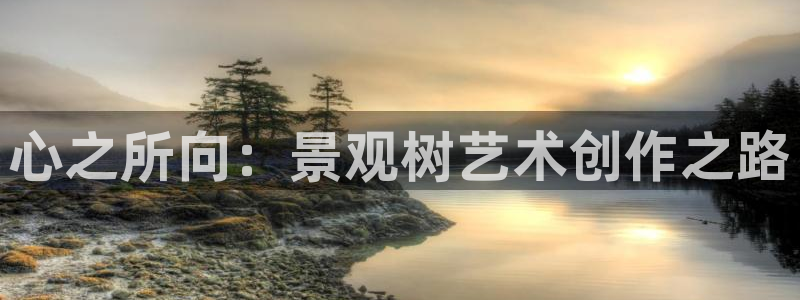 摩根娱乐↑总s管50015