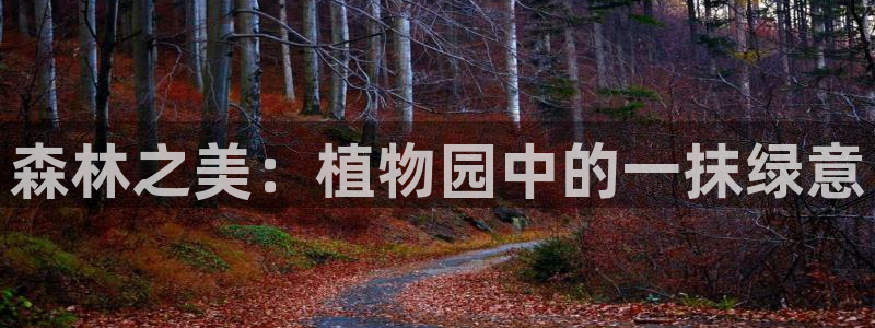 泉州摩根娱乐会所