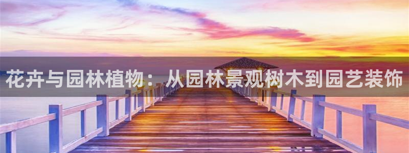 摩根娱乐黑别人网站