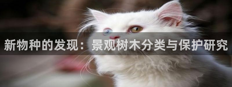 摩根娱乐宝邀请码