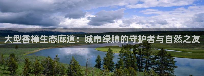 摩根国际亚太娱乐宝