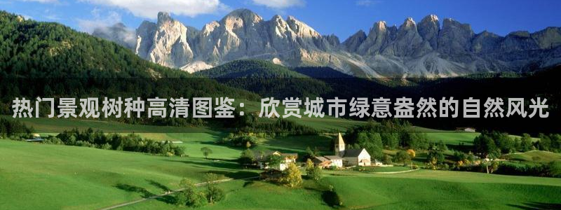 摩根娱乐宝可靠不