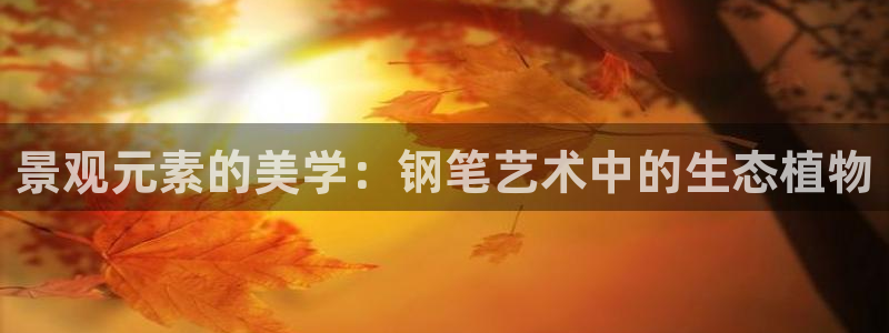 摩根娱乐宝机构代码