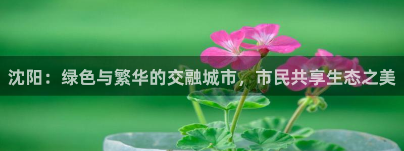 义乌摩根娱乐会所