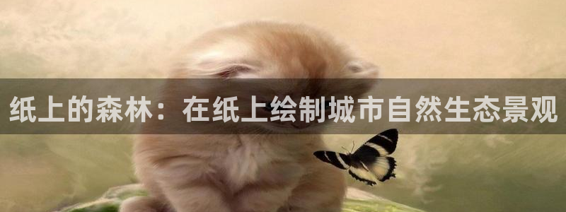 奥飞娱乐摩根调研