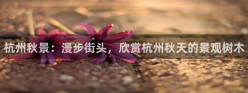 义乌摩根娱乐会所邮箱