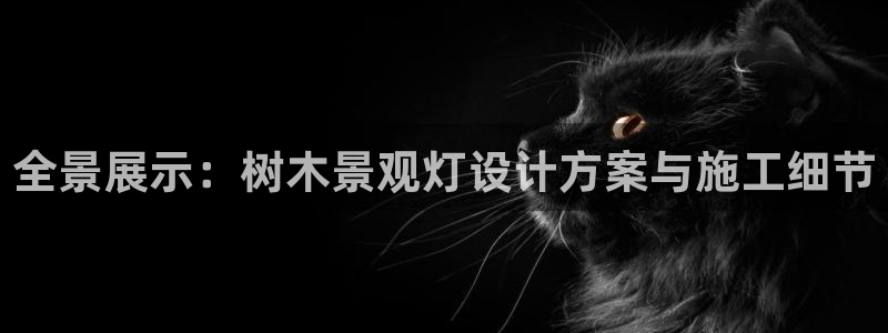 摩根娱乐宝口碑