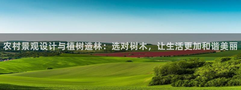 摩根娱乐宝机怎么玩