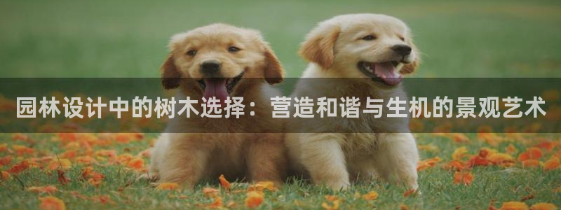 海贼王之娱乐摩根斯