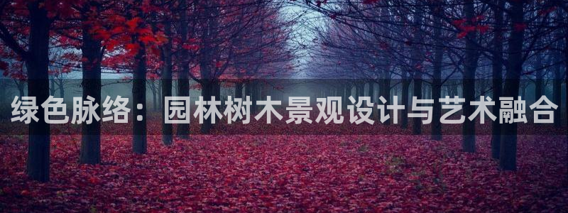 摩根100娱乐会所