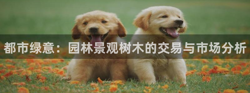 玩摩根娱乐宝亏了三千