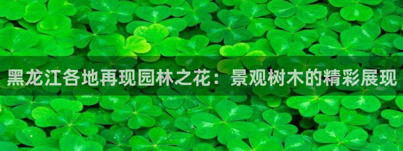 摩根娱乐宝怎么玩