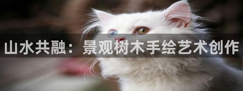 摩根娱乐1老H板50820