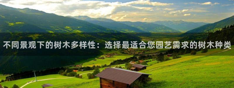 义乌市摩根娱乐会所