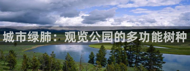 义乌市摩根娱乐会所招聘