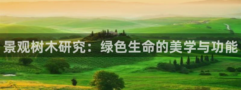 摩根娱乐宝是什么意思