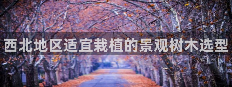 摩根100娱乐会所