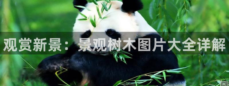 摩根娱乐注册m总管：观赏新景：景观树木图片大全详解